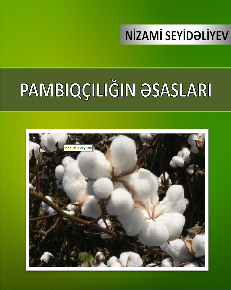 Pambıqçılığın əsasları