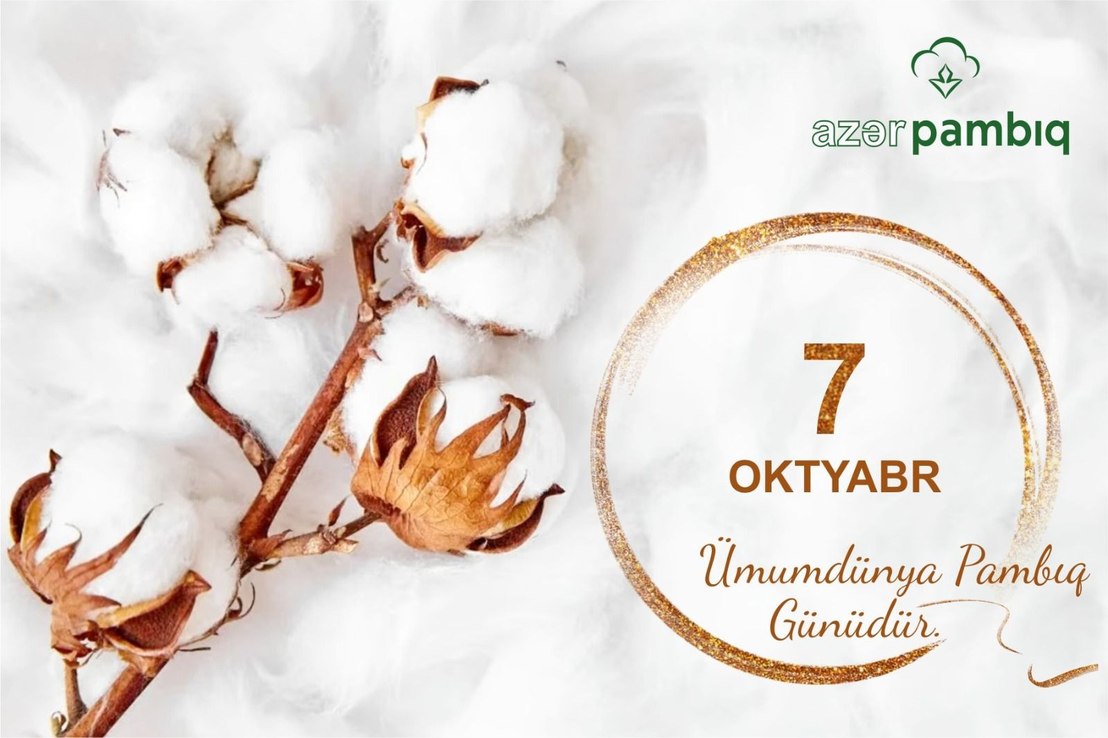 7 oktyabr - Ümumdünya Pambıq Günüdür.